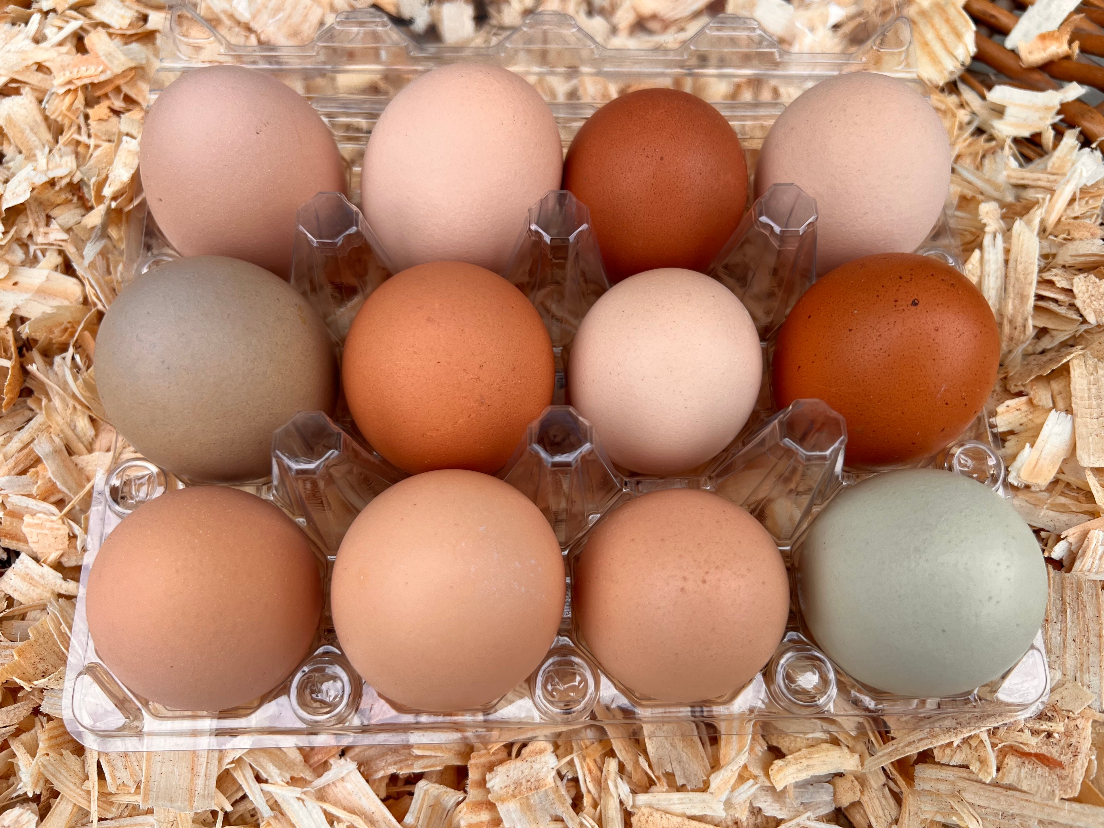 1 Dozen Eggs - Unwashed