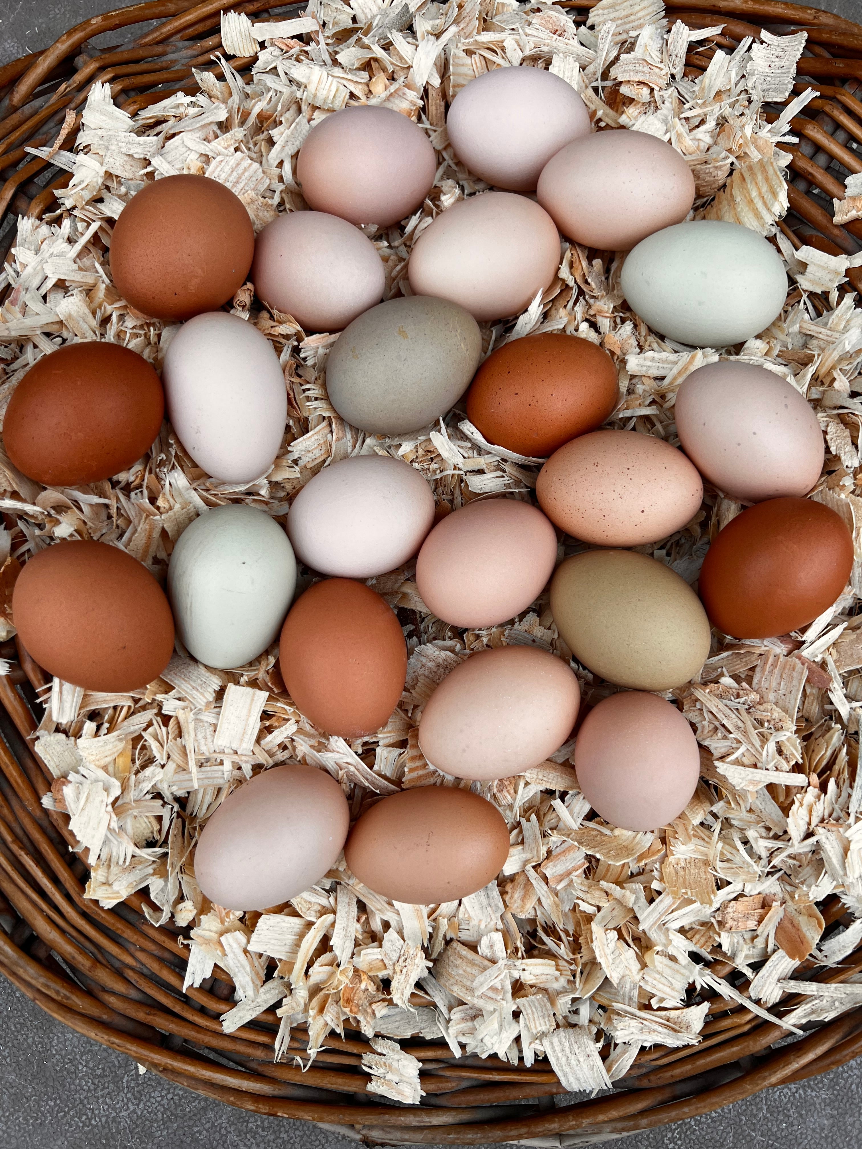 2 Dozen Eggs - Unwashed